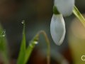 2021_02_27-Kroeten-3-16