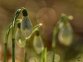 2021_02_27-Kroeten-3-17
