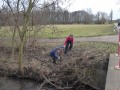 2021_03_05-Muell-sammeln-Pferde-01