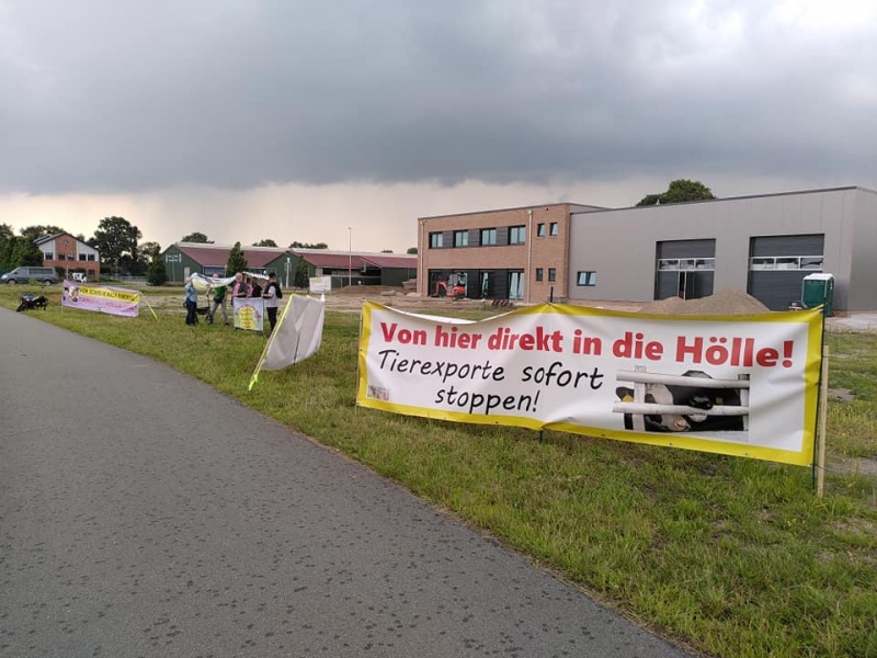 2021_08_06-Ostfriesland-Demo-06