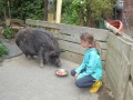 2021_08_26-Schweinefreunde-09