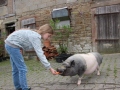 2021_08_26-Schweinefreunde-10
