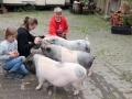 2021_08_26-Schweinefreunde-11