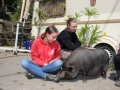 2021_08_26-Schweinefreunde-14