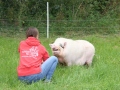 2021_08_26-Schweinefreunde-15