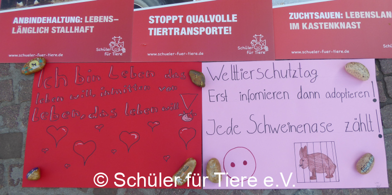 2021_10_02-Welttierschutztag-Landau-00