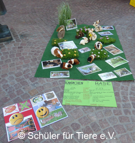 2021_10_02-Welttierschutztag-Landau-15