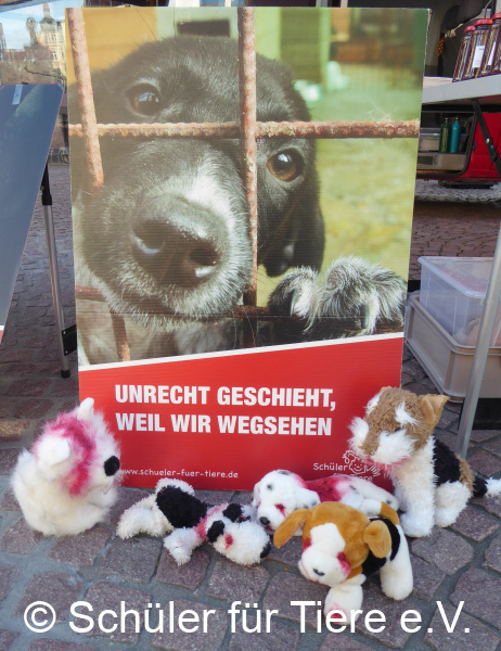 2021_10_02-Welttierschutztag-Landau-27