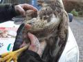2021_12_11-Bussard-Jan-13