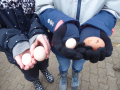 2022_01_14-Streichelzoo-Ruelzheim-14