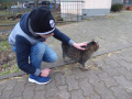 2022_01_14-Streichelzoo-Ruelzheim-15