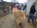 2022_01_14-Streichelzoo-Ruelzheim-25