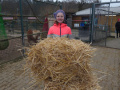 2022_01_14-Streichelzoo-Ruelzheim-26