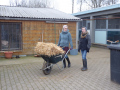 2022_01_14-Streichelzoo-Ruelzheim-41