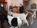 2022_04_24-Weinheim-Kirchentag-Dortmund-09
