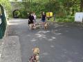 2022_05_16-Giessen-Ukraine-Hunde-betreuen-02