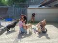 2022_05_16-Giessen-Ukraine-Hunde-betreuen-04