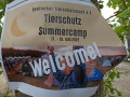 2022_06_18-Giessen-Tierschutzcamp-03