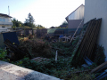 2022_09_04-Kaninchen-Herxheim-6