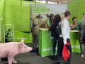 2022_09_25-Alsfeld-auf-veggie-world-04