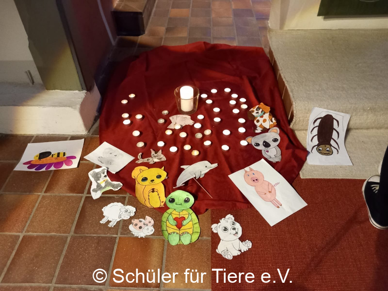 2022_10_04-Alsfeld-Welttierschutztag-Gottesdienst-02