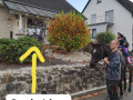 2022_11_01-Hermeskeil-Halloween-mit-Ponys-02