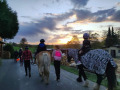 2022_11_01-Hermeskeil-Halloween-mit-Ponys-05