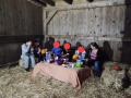 2022_11_01-Hermeskeil-Halloween-mit-Ponys-06