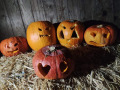 2022_11_01-Hermeskeil-Halloween-mit-Ponys-07