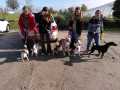 2022_11_05-Flohmarkt-Hunde-10