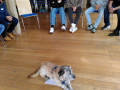 2022_11_12-Calw-Jugendgruppe-12