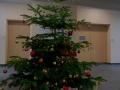 2022_11_28-Alsfeld-Giessen-Adventskalender-Paeckchen-00