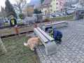 2023_02_16-Schweiz-Schulhundeinsatz-2