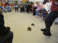 2023_11_28-Igel-zu-Besuch-07