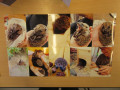 2023_11_28-Igel-zu-Besuch-32