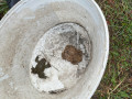 2024_02_12-Kroeten-1-JoJo-09