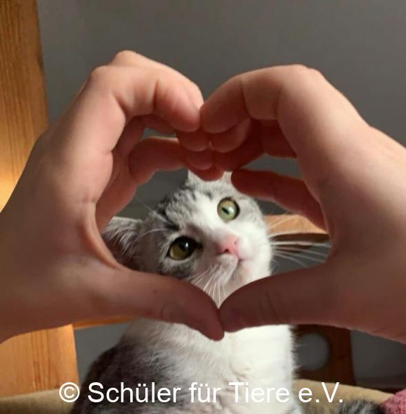 2024_02_14-Alsfeld-Valentinstag-02