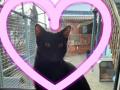 2024_02_14-Alsfeld-Valentinstag-03