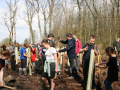2024_03_21-Baeume-pflanzen-3-027