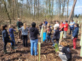 2024_03_21-Baeume-pflanzen-3-09