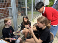 2024_07_13-Alsfeld-Sommerfest-12