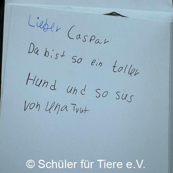 2024_10_04-Alsfeld-Welttierschutztag-Briefe-13