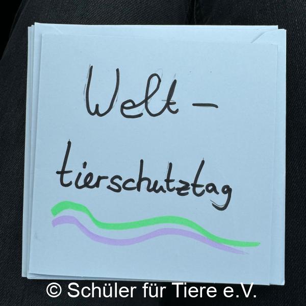 2024_10_04-Alsfeld-Welttierschutztag-Briefe-15