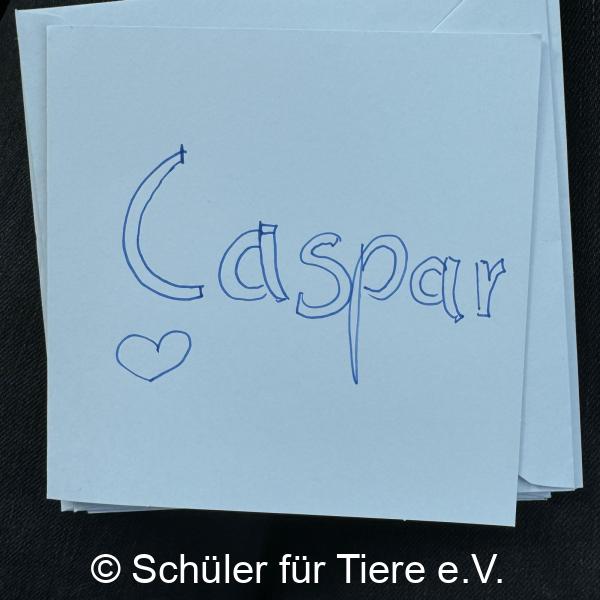2024_10_04-Alsfeld-Welttierschutztag-Briefe-16