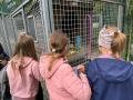 2024_10_04-Alsfeld-Welttierschutztag-Briefe-6