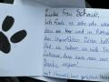 2024_10_04-Alsfeld-Welttierschutztag-Briefe-8