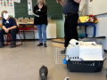 2025-Tierschutztage-Ostern-2025-28