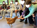 2025-Tierschutztage-Ostern-2025-35