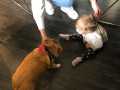 2025_01_31-Mela-Hund-Emma-fuer-Mama-5