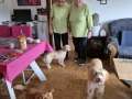 2025_01_31-Mela-Hund-Emma-fuer-Mama-8